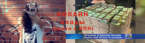 кокс Алексин