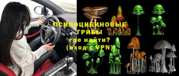 кокс Алексин