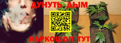 apvp Моздок