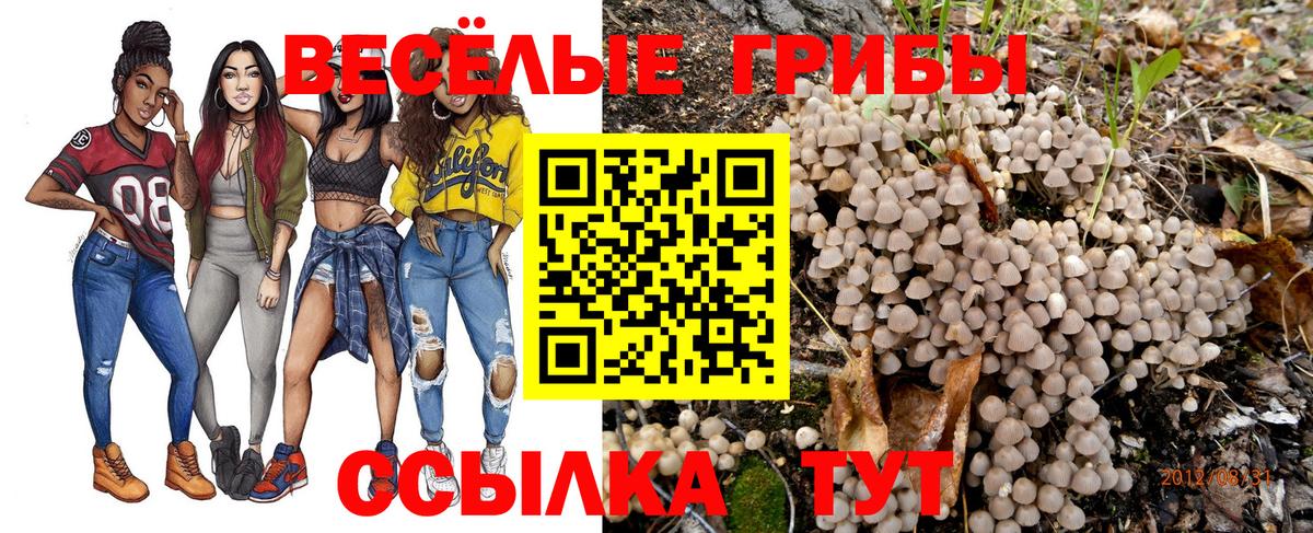 Богородск  Галлюциногенные грибы Magic Shrooms  Вход с VPN 